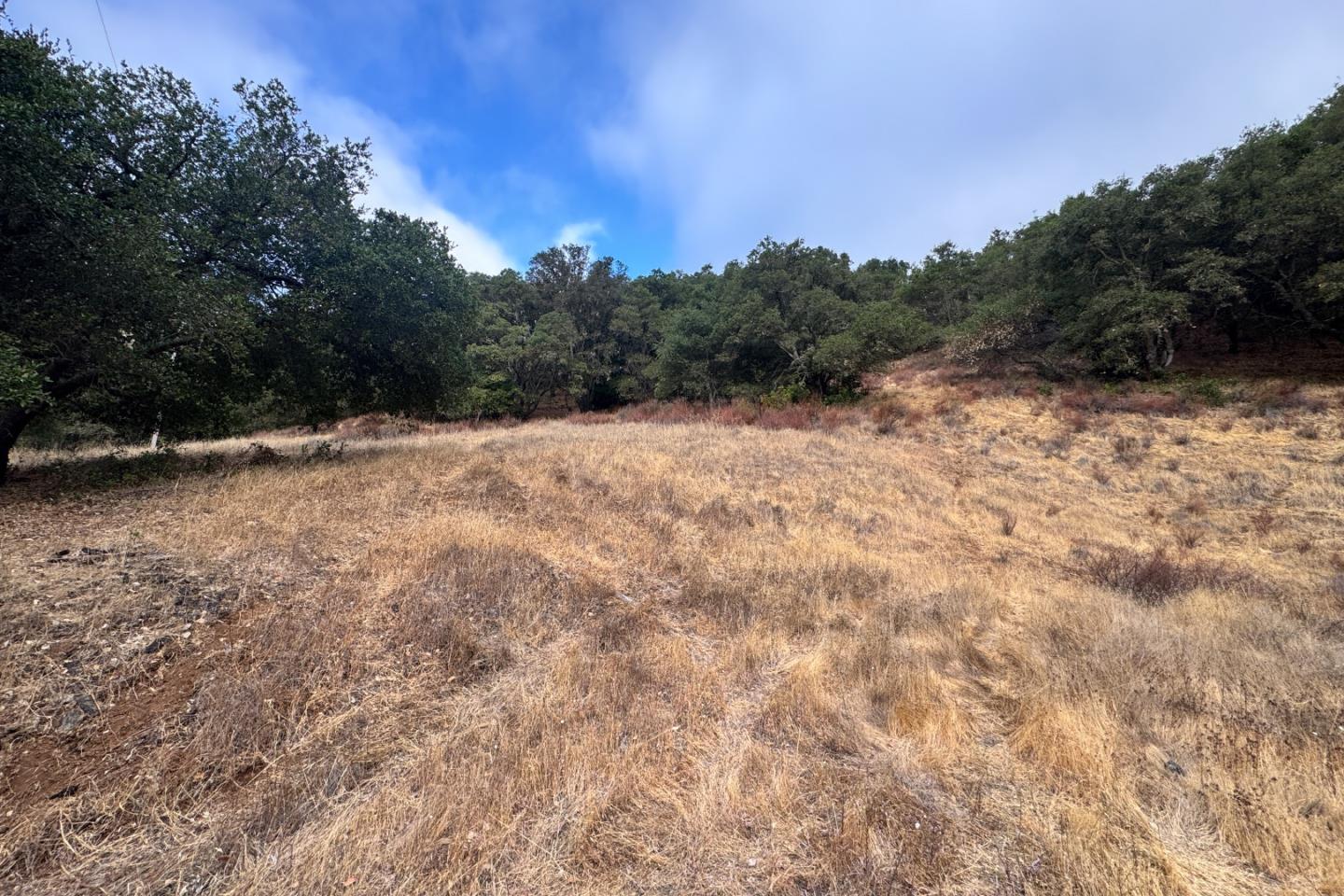 0000 Wagner Road