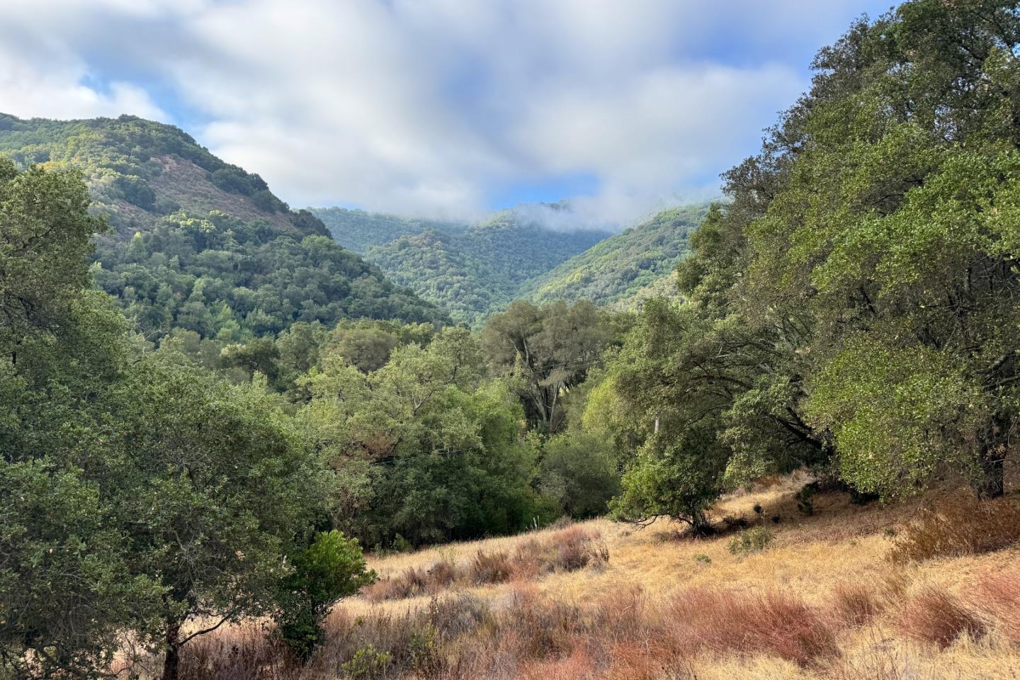 0000 Wagner Road
