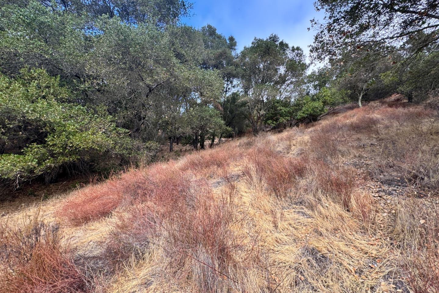 0000 Wagner Road