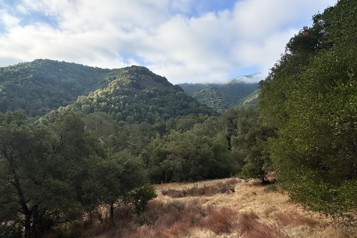 0000 Wagner Road