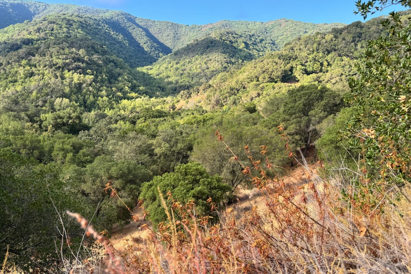 0000 Wagner Road