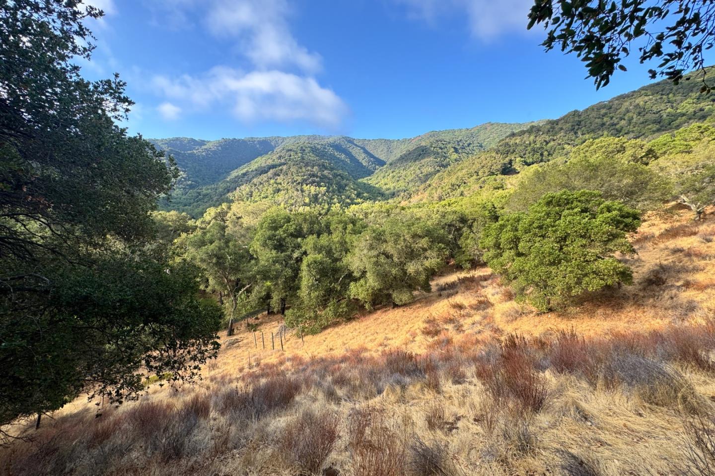 0000 Wagner Road