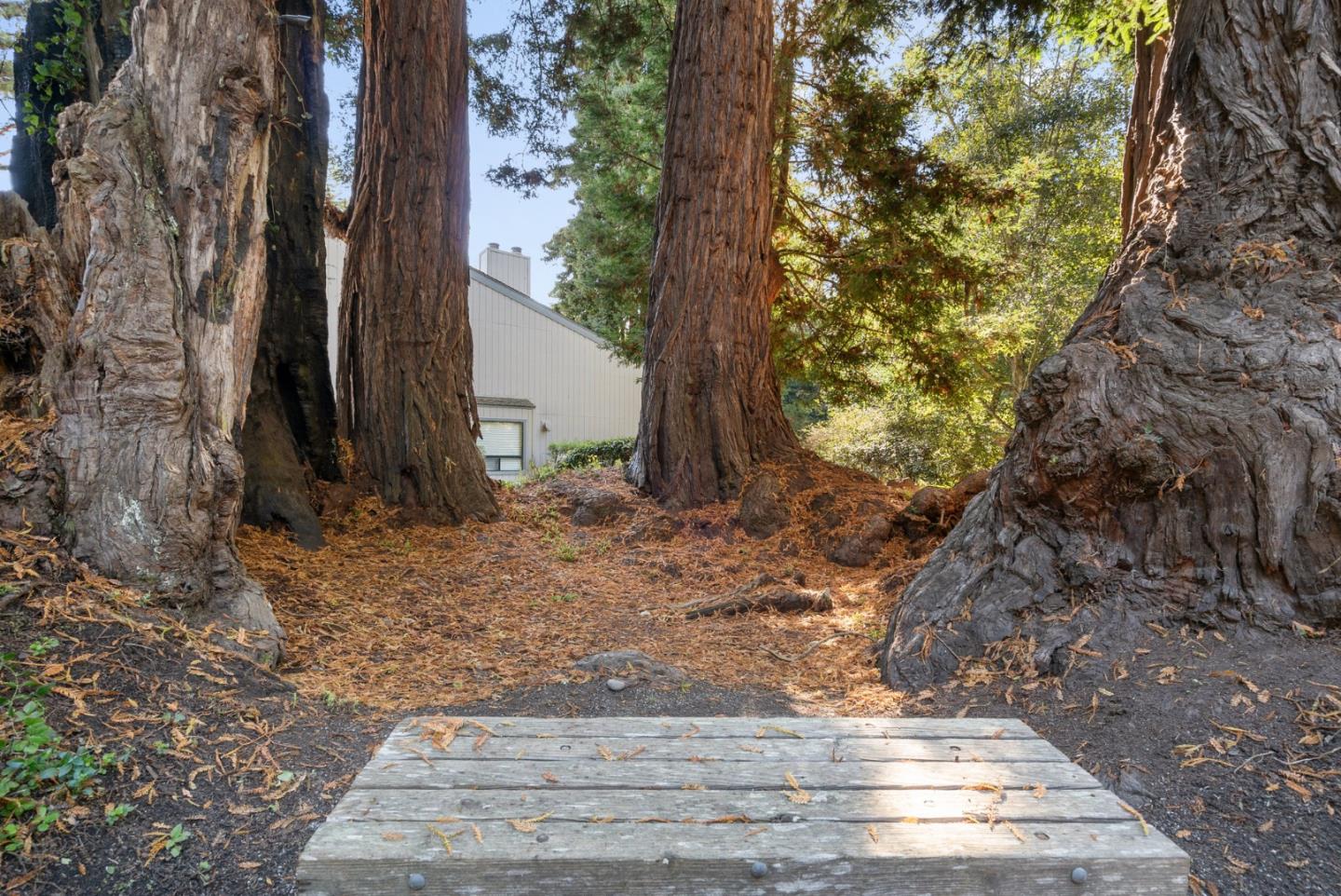 355 Village Creek Road