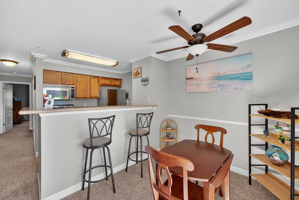 41 Grandview Street 1204