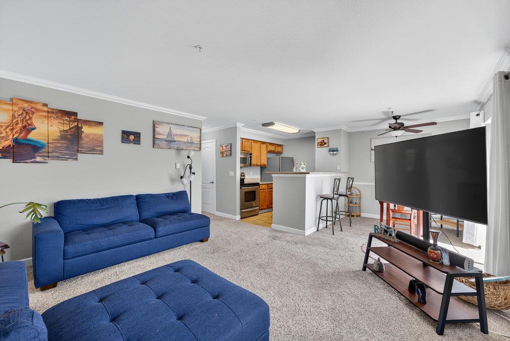 41 Grandview Street 1204