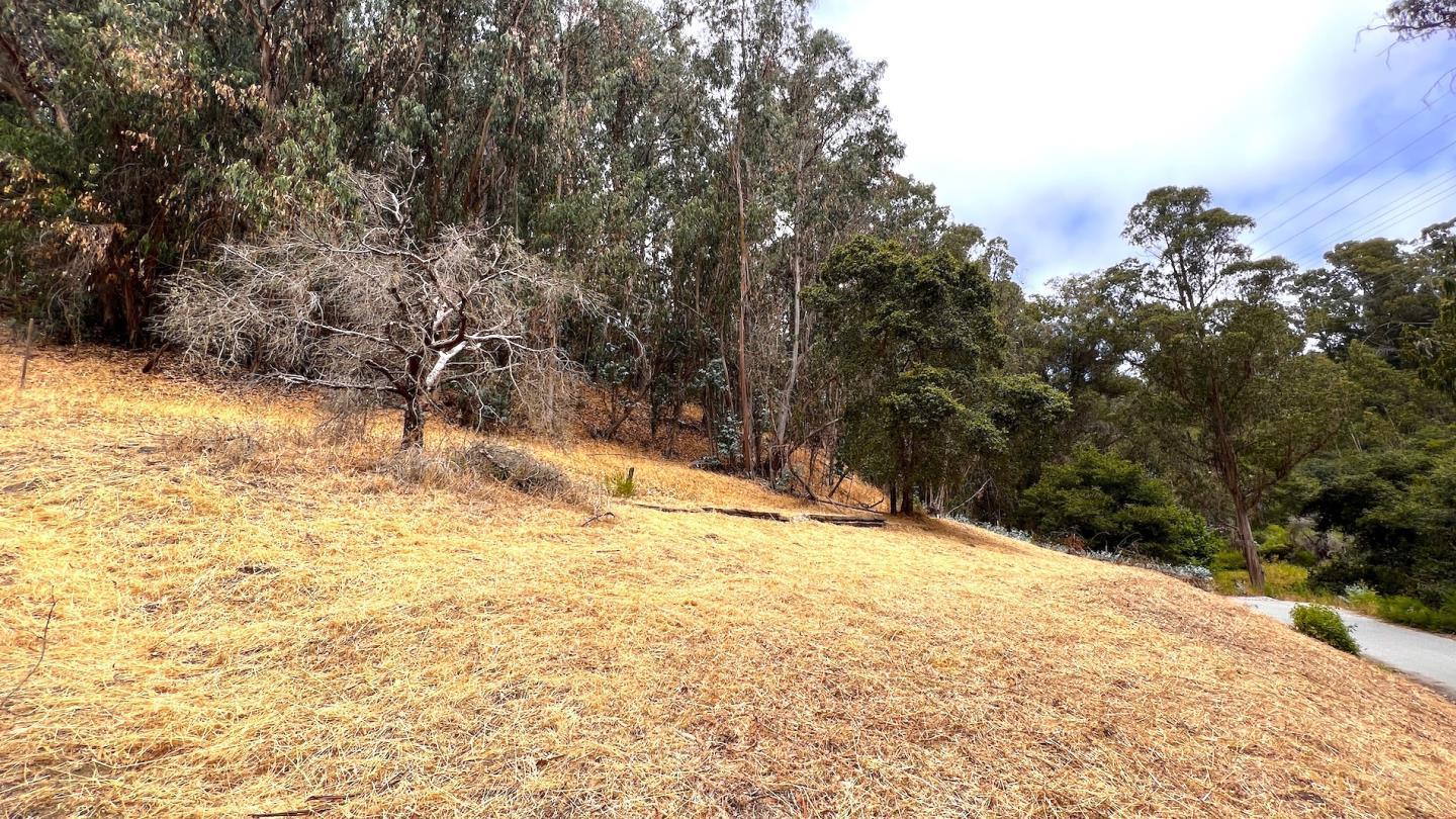 00 Lupine Lane
