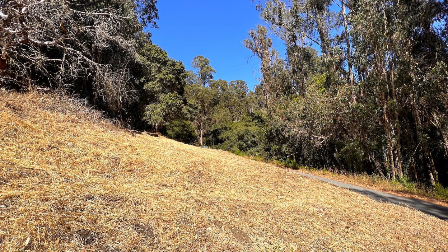 00 Lupine Lane