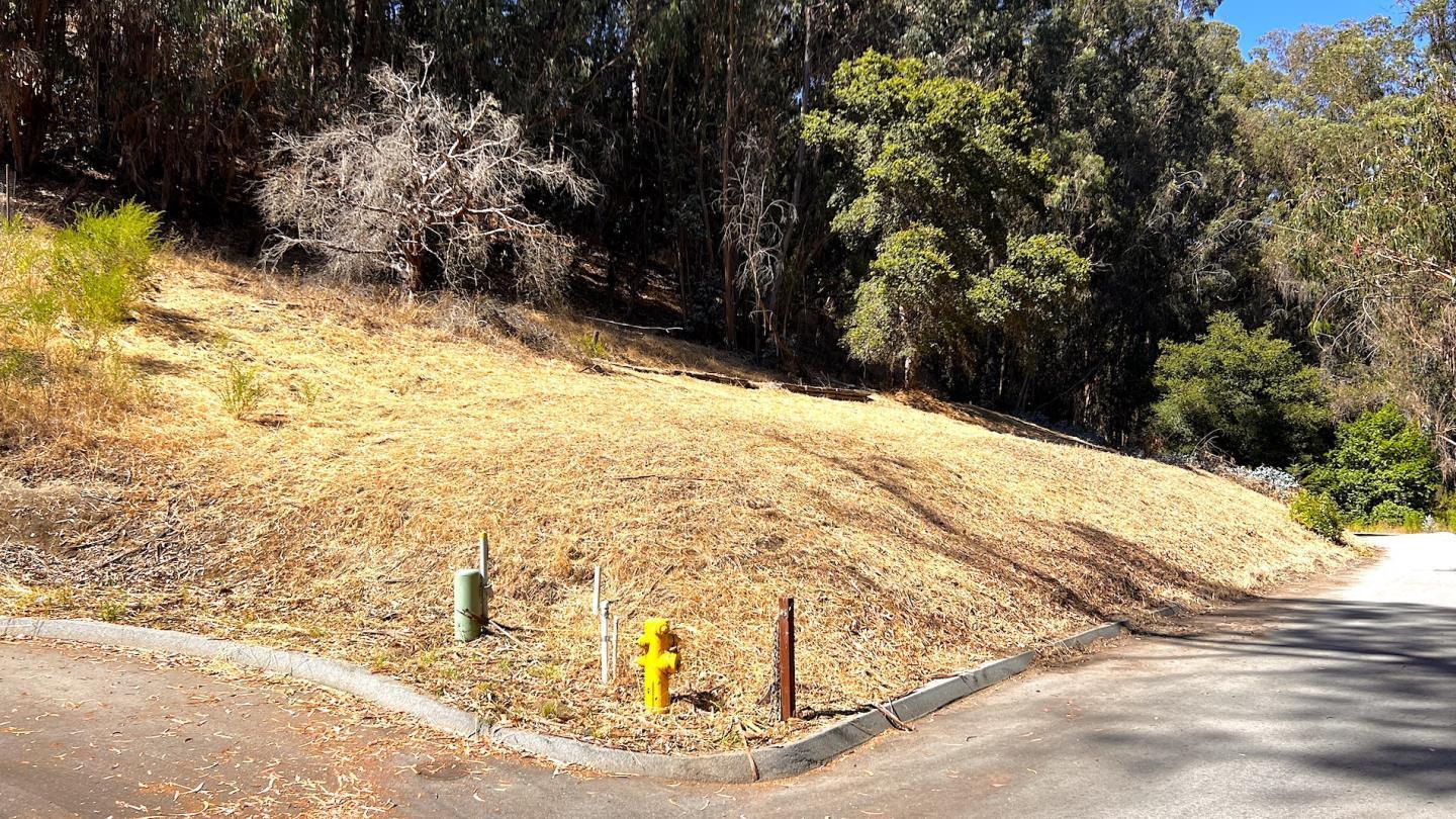 00 Lupine Lane