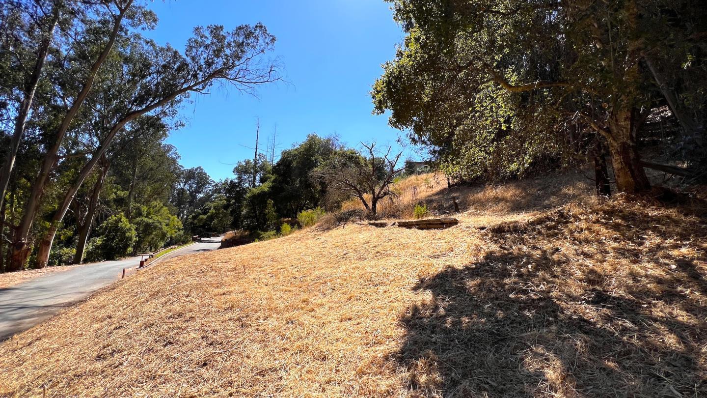 00 Lupine Lane
