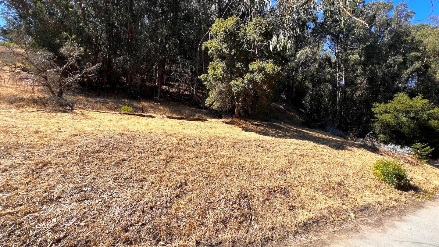00 Lupine Lane