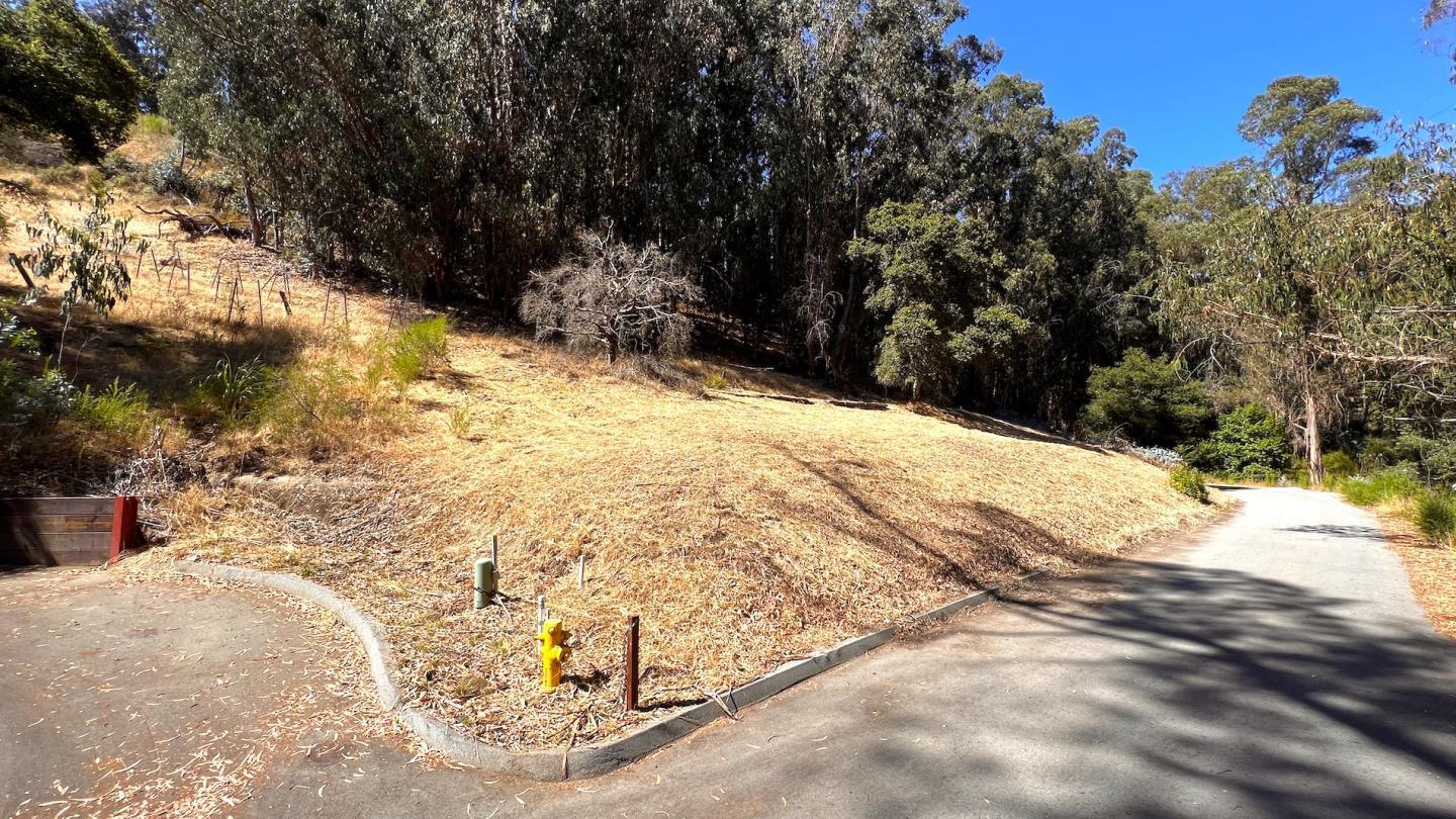 00 Lupine Lane