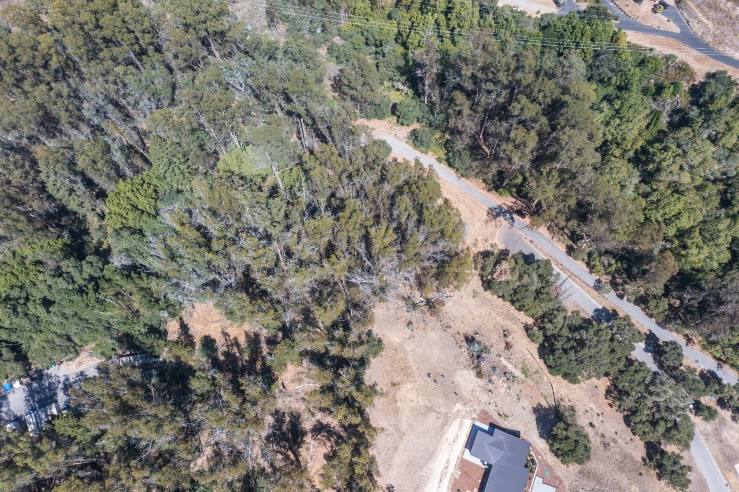 00 Lupine Lane