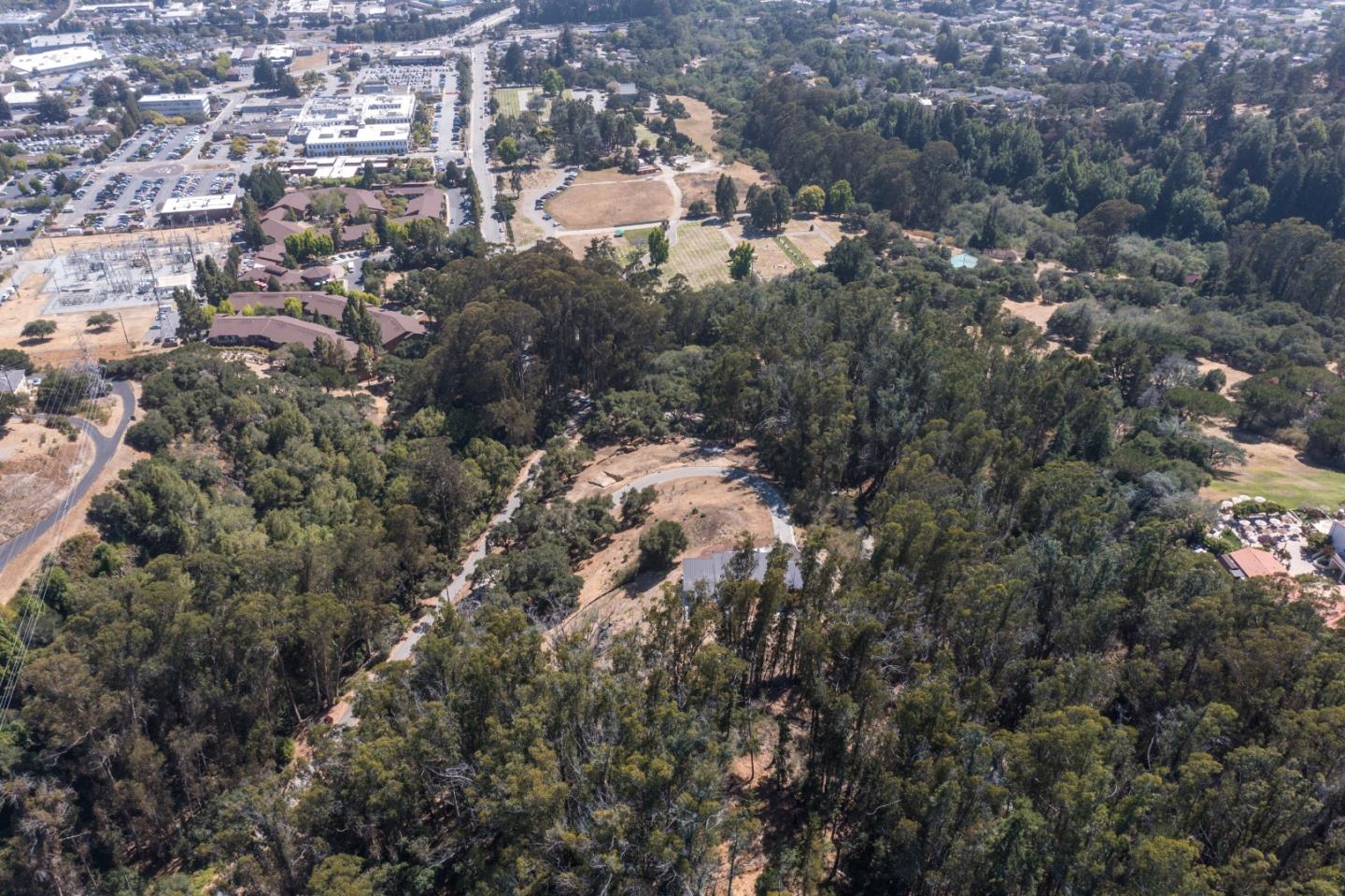 00 Lupine Lane