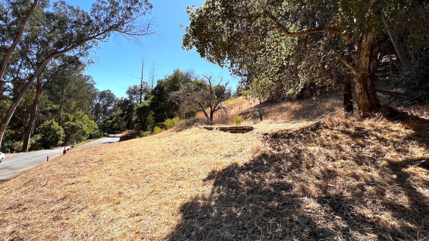 00 Lupine Lane