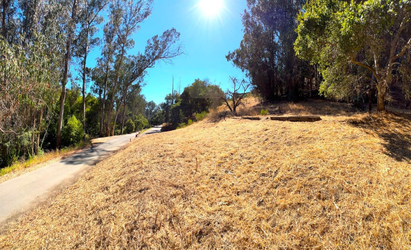 00 Lupine Lane