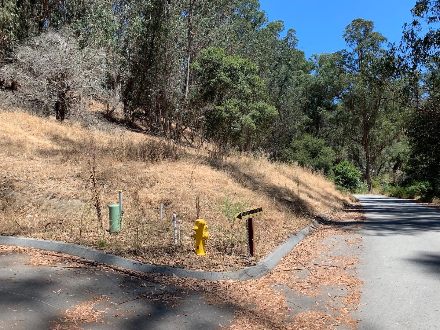 00 Lupine Lane