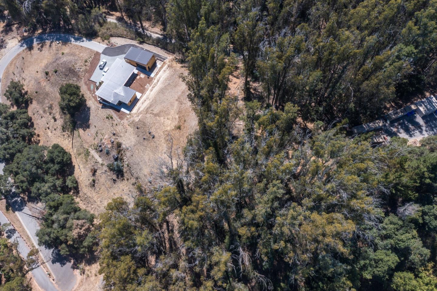00 Lupine Lane