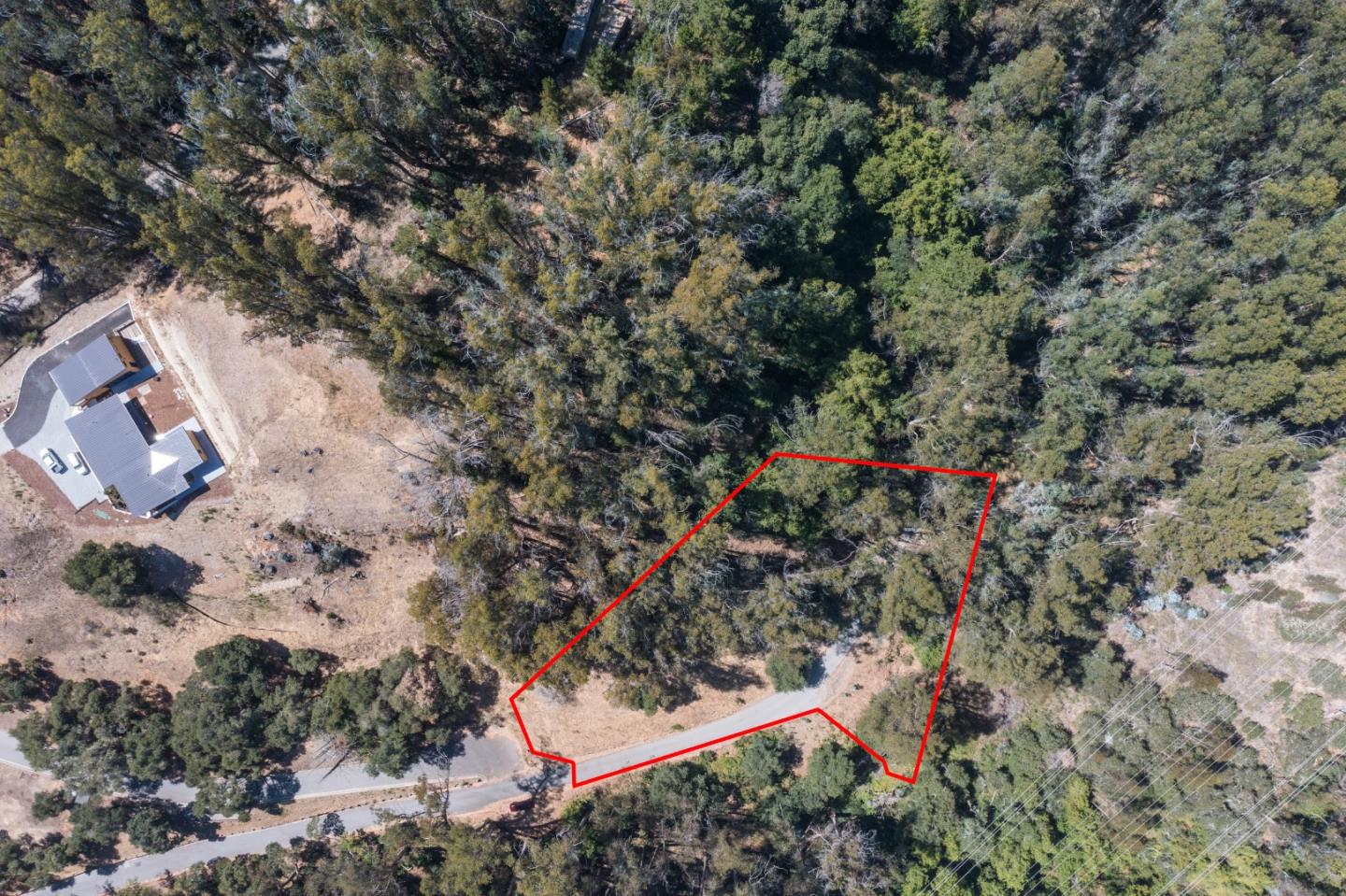 00 Lupine Lane