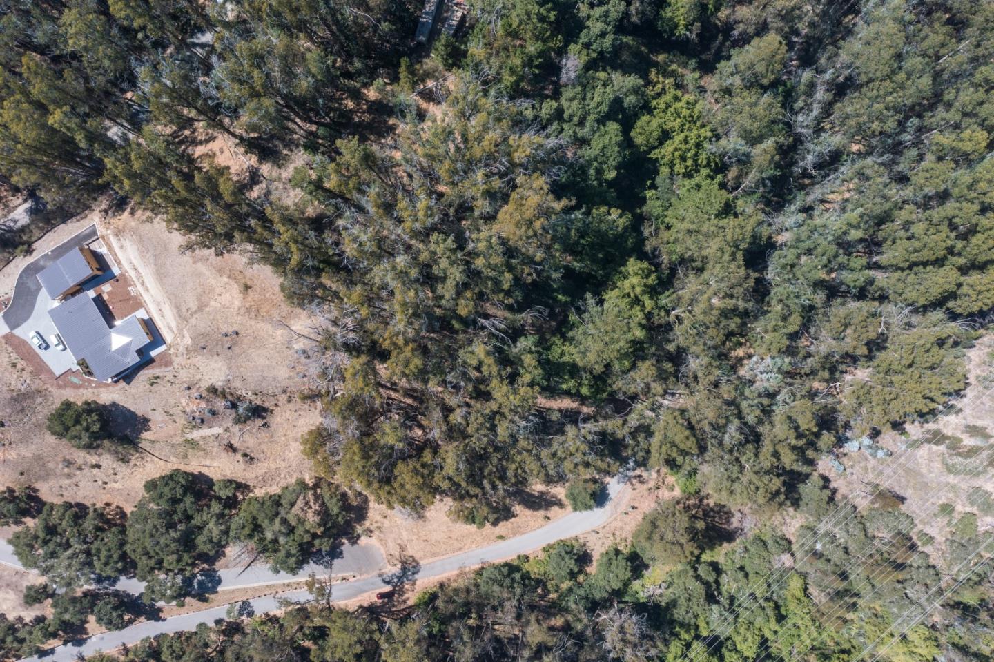00 Lupine Lane
