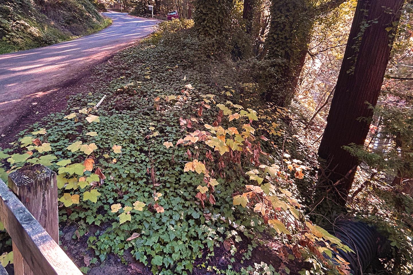 00 Riverside Road