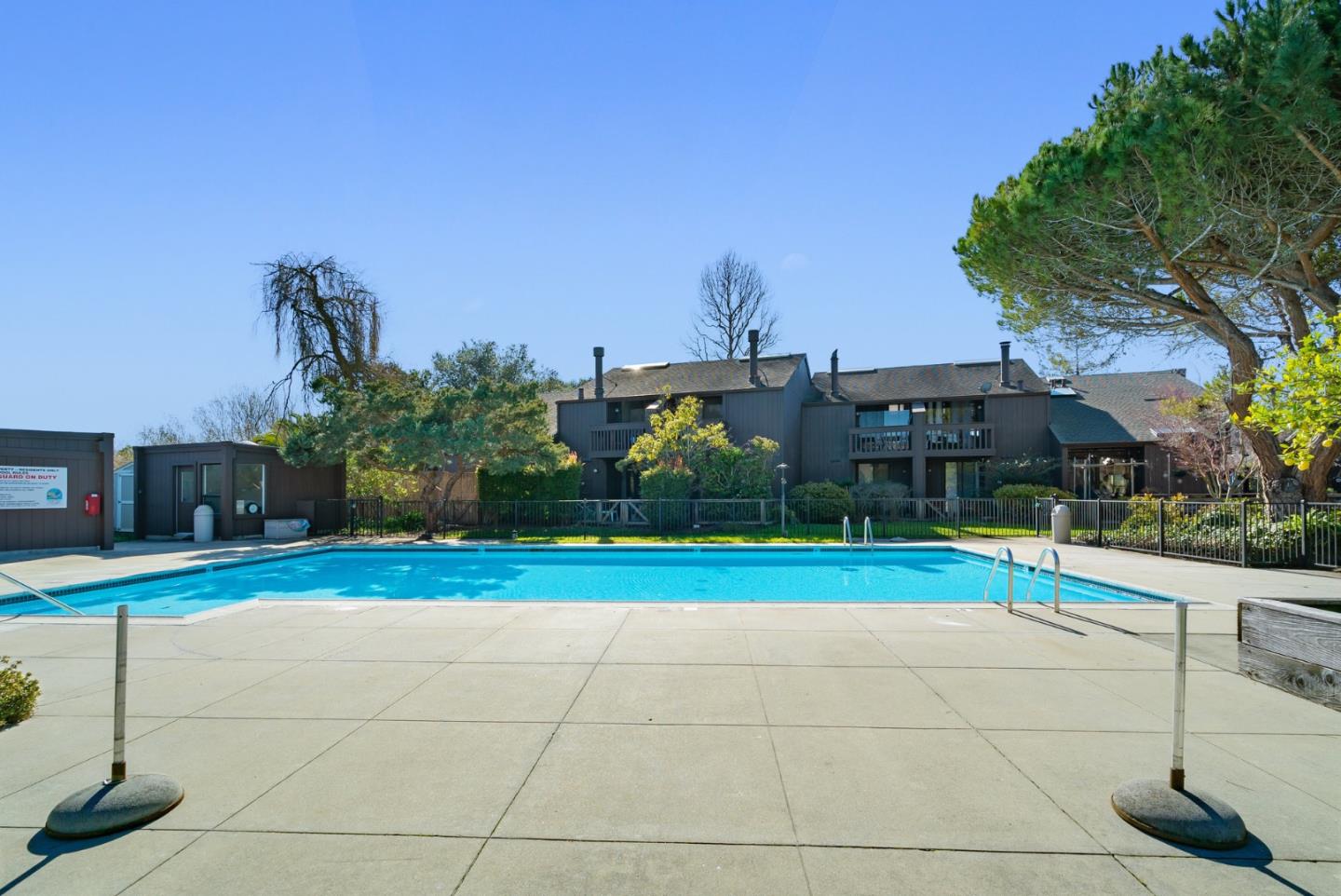 102 Tree Frog LN