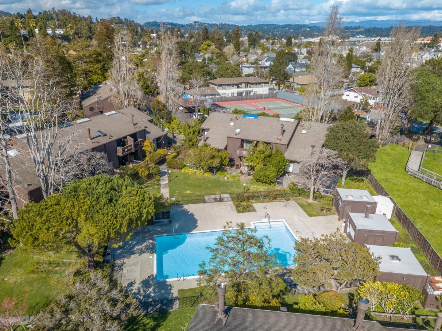 102 Tree Frog LN