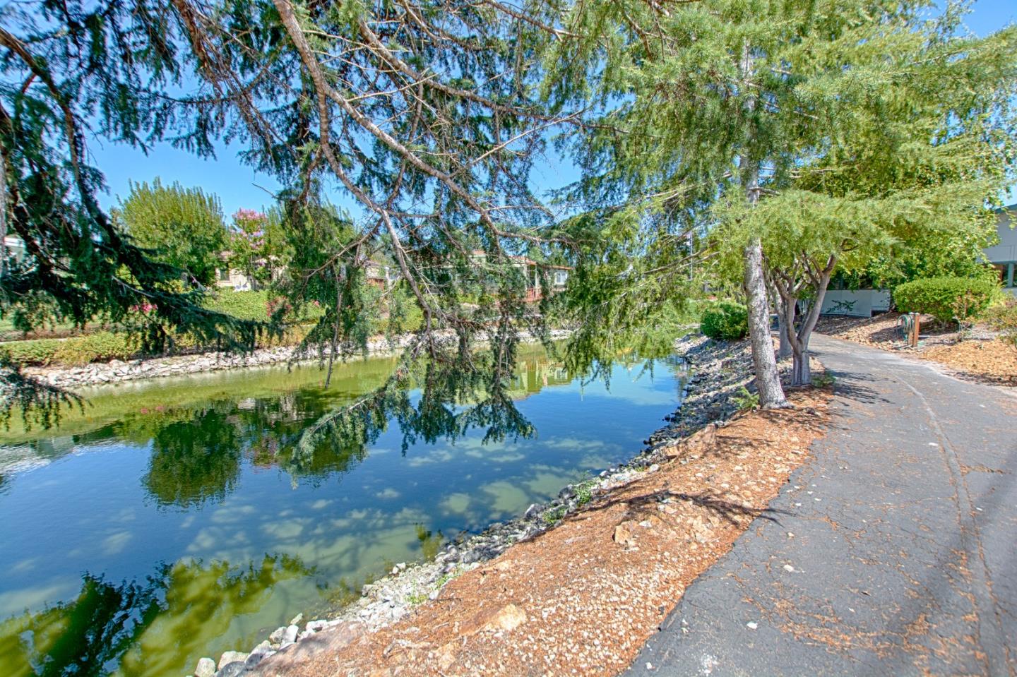 225 Mount Hermon Road Unit: 19A