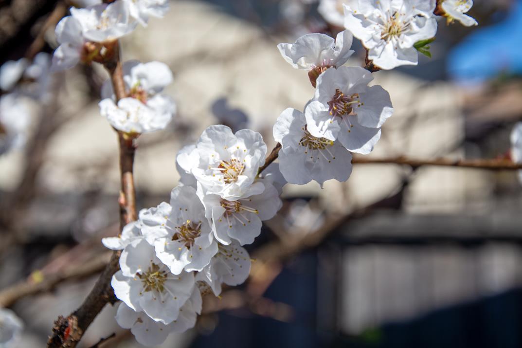 225 Mount Hermon Road Unit: 19A