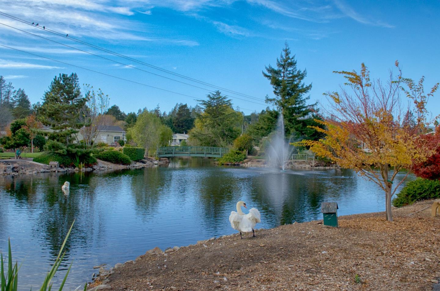 225 Mount Hermon Road Unit: 19A