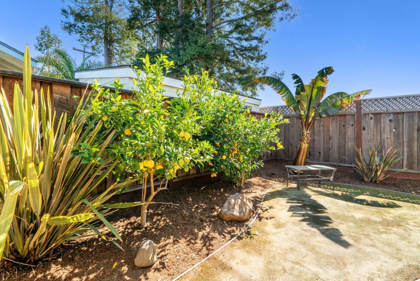 420 Capitola Road EXT
