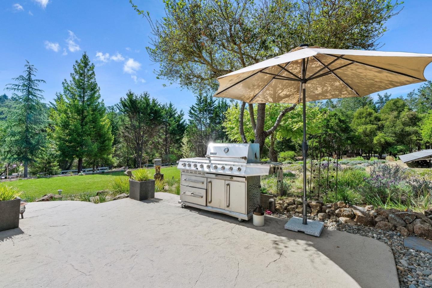 321 Pine Forest Drive