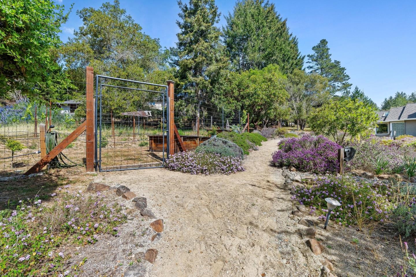 321 Pine Forest Drive
