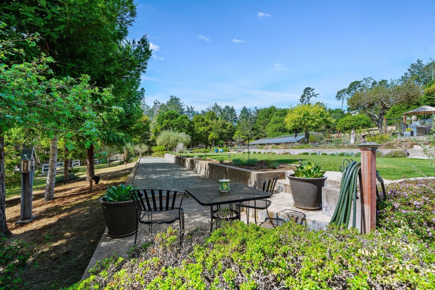 321 Pine Forest Drive