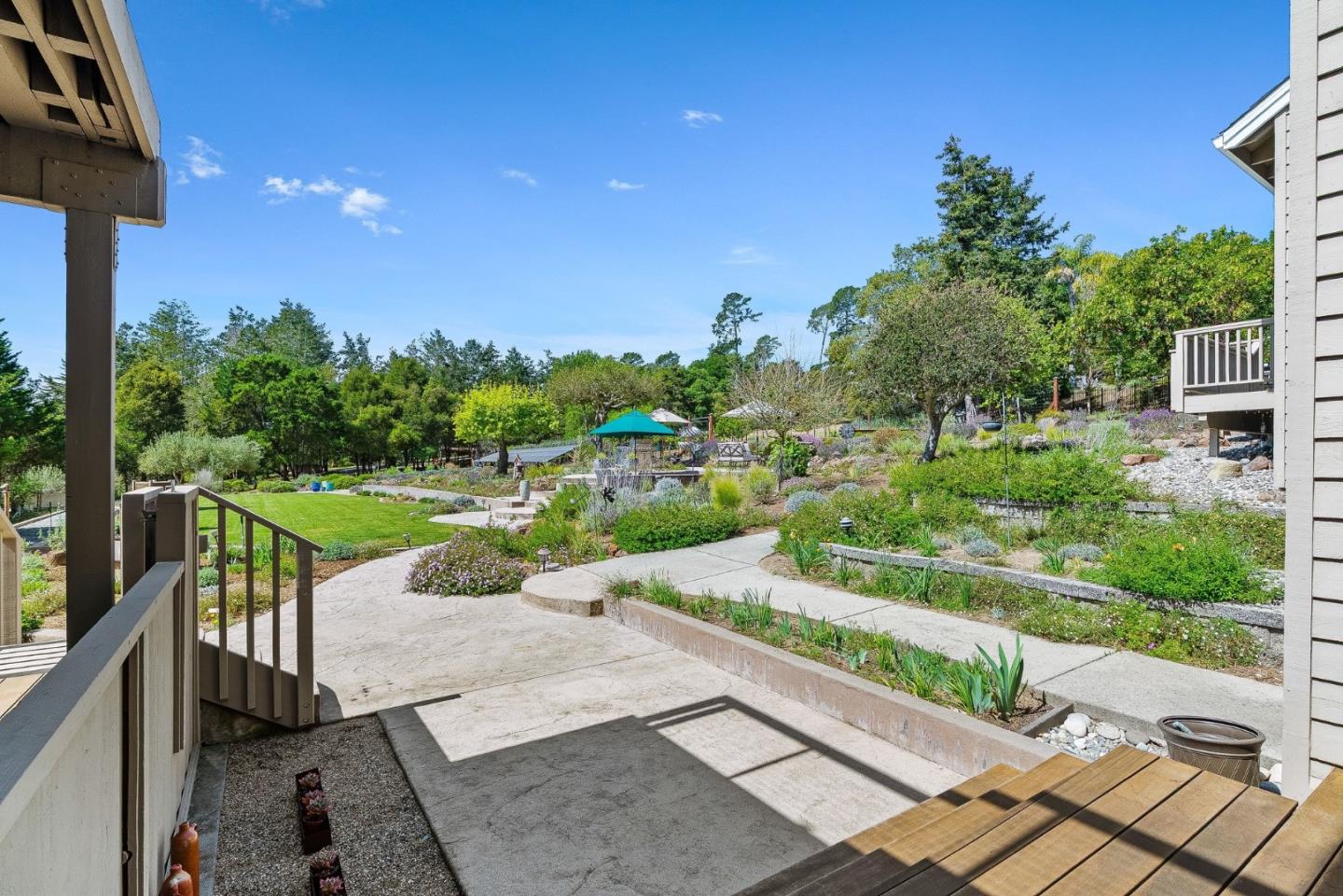 321 Pine Forest Drive