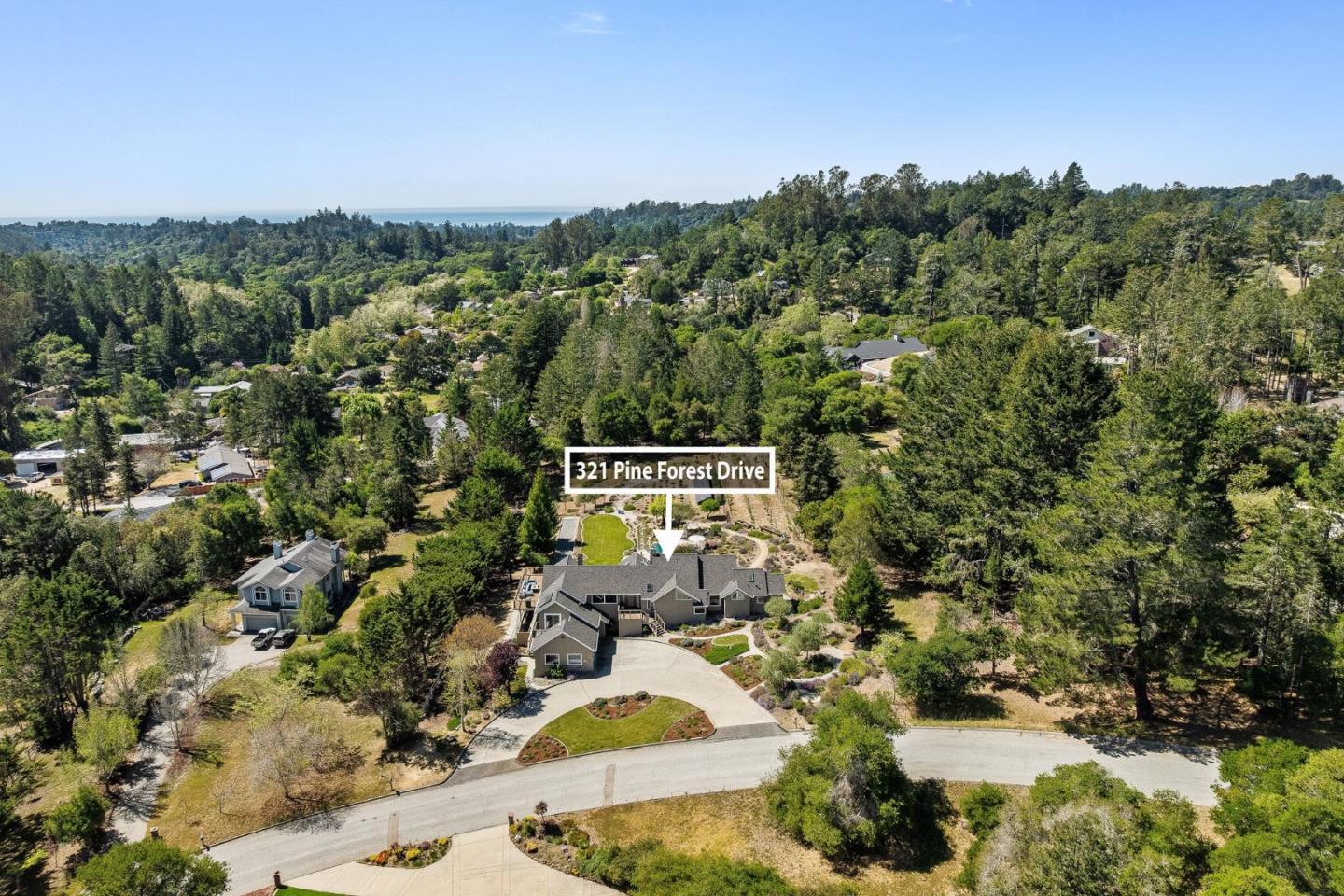 321 Pine Forest Drive