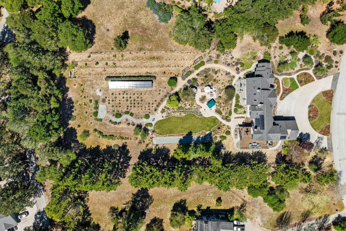321 Pine Forest Drive