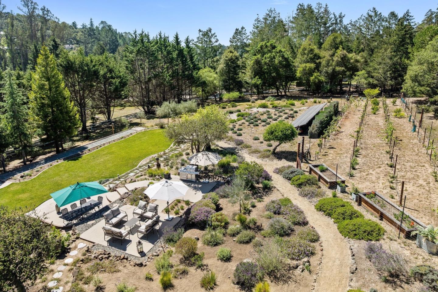 321 Pine Forest Drive