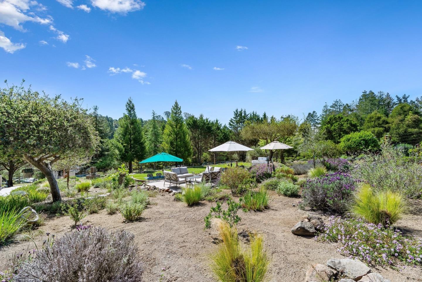 321 Pine Forest Drive