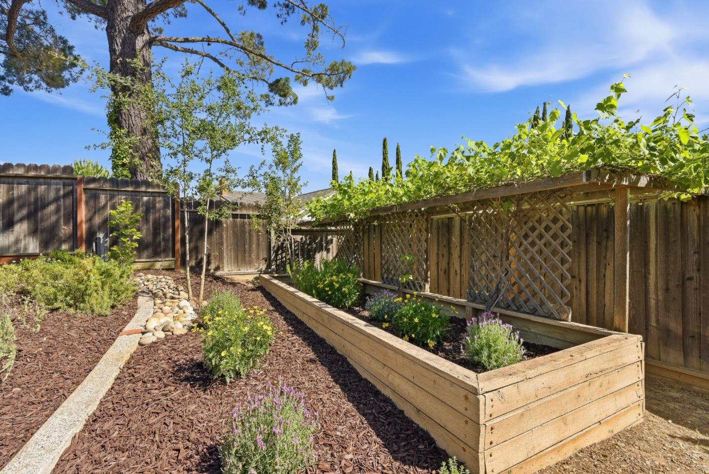 1351 Hidden Mine Road