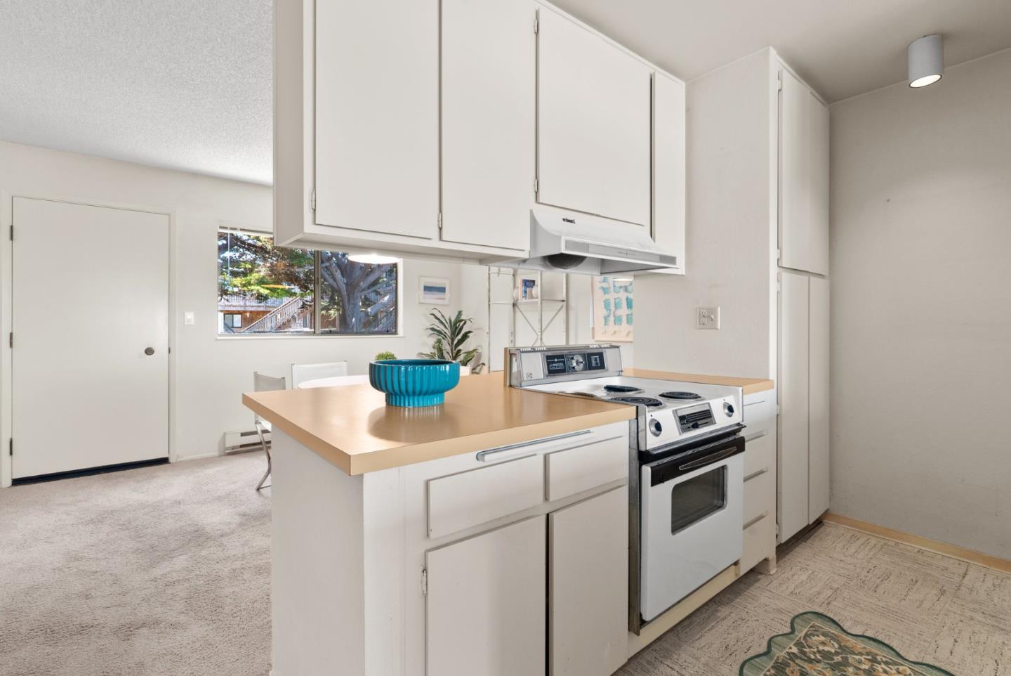 101 Shell Drive 227
