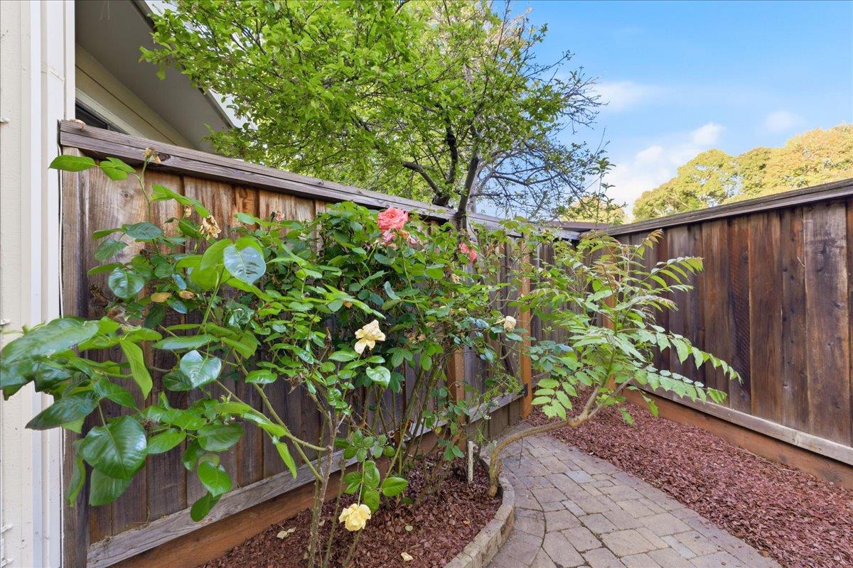 1983 San Luis AVE 16