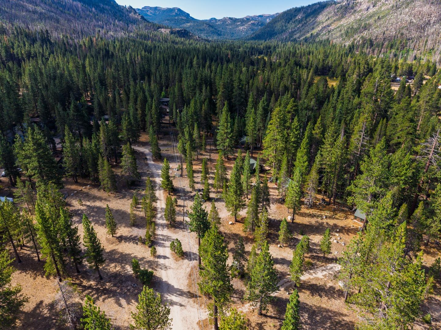 2510 Blitzen Road