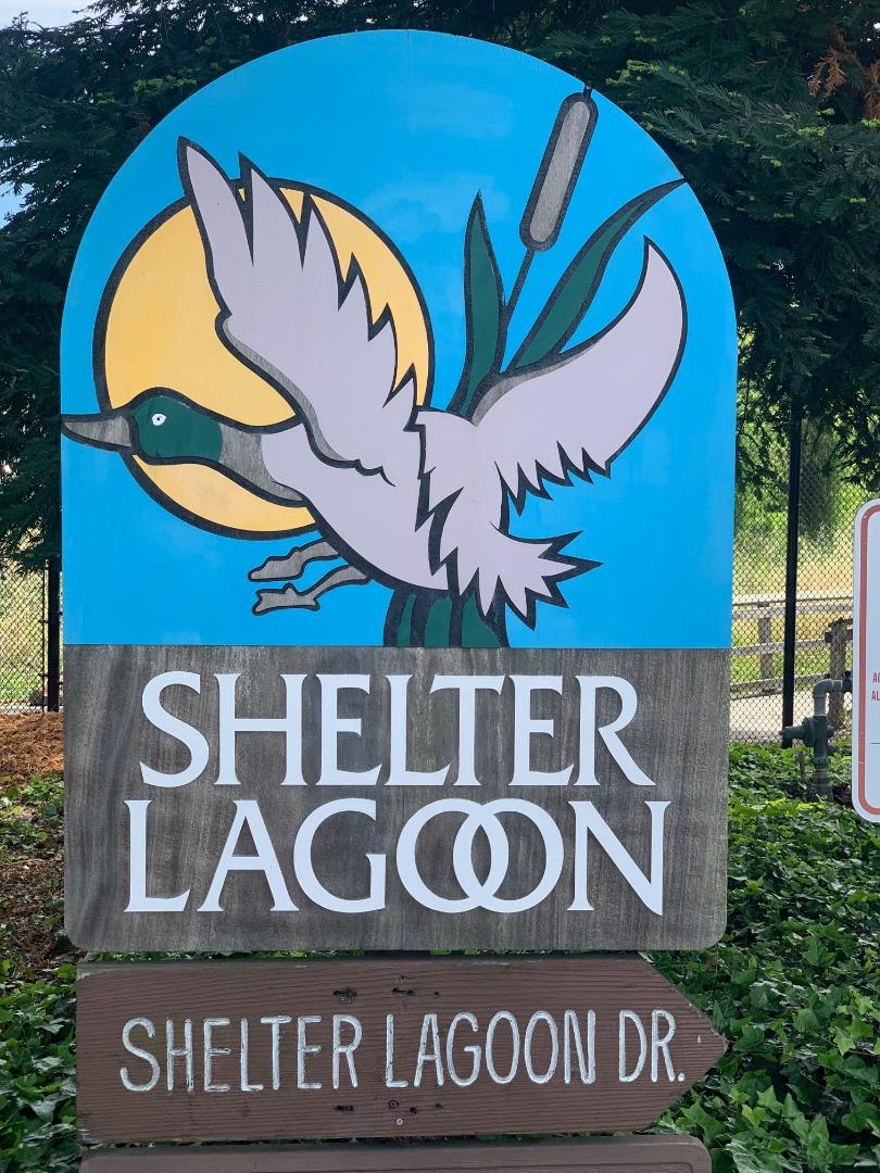 121 Tree Frog Lane 121