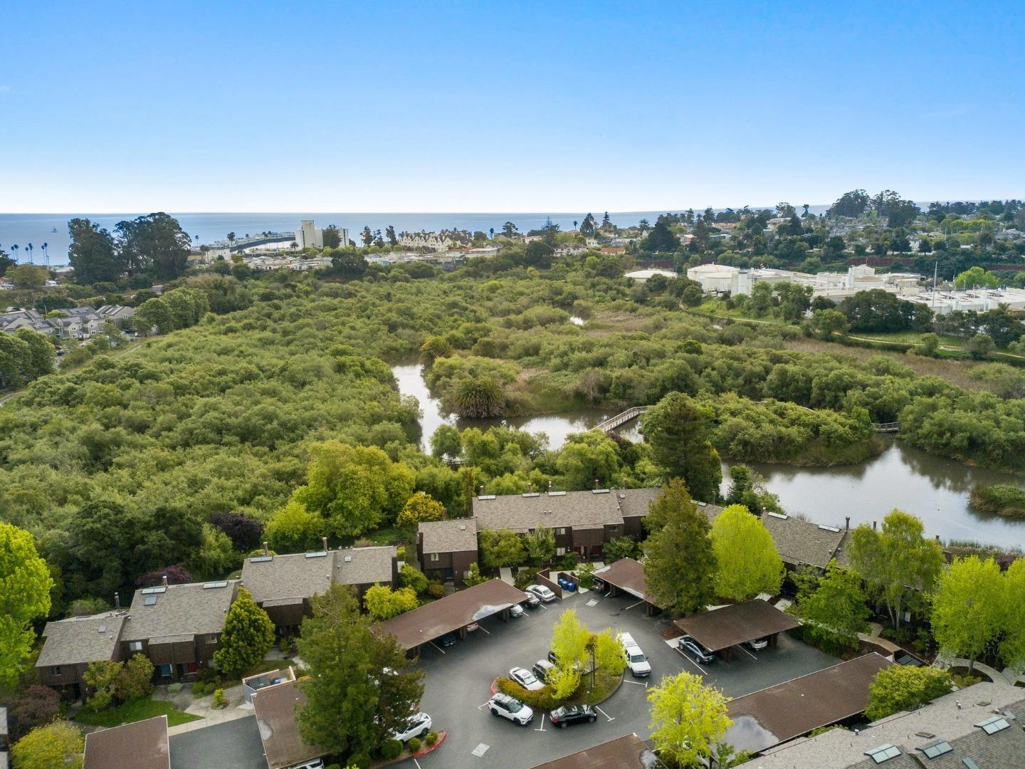 121 Tree Frog Lane 121
