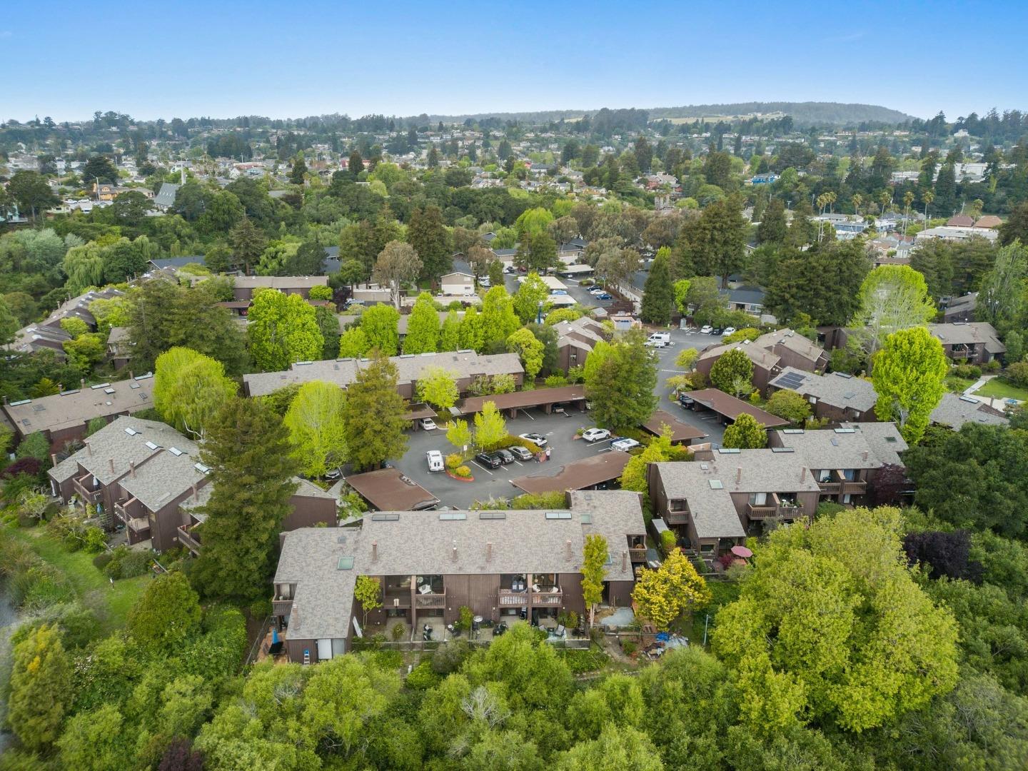 121 Tree Frog Lane 121