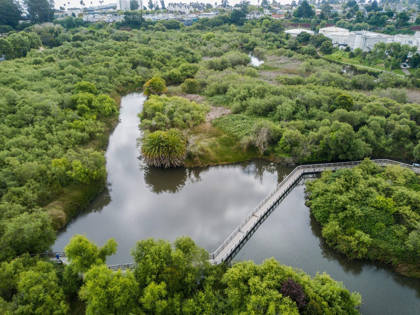 121 Tree Frog Lane 121