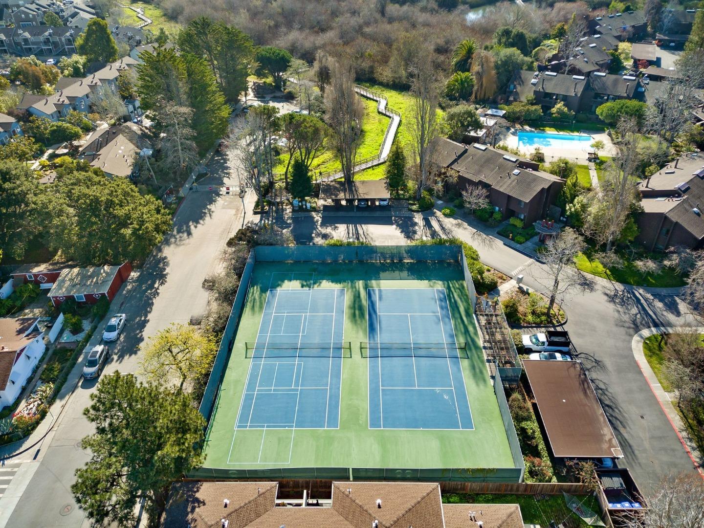 121 Tree Frog Lane 121