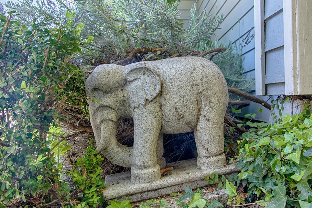 429 Capitola Avenue