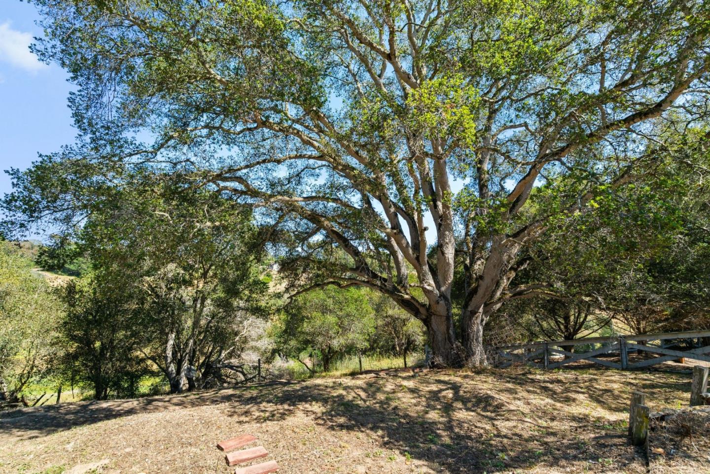 3225 Hillman Lane