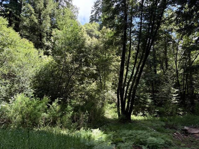 1701 Felton Quarry Rd.